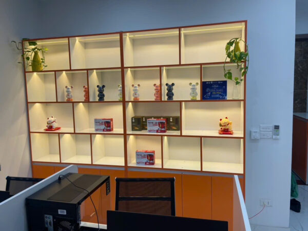 Mẫu Tủ Hồ Sơ, Tủ Trưng Bày - THS16